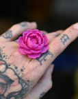 Rose-Ring